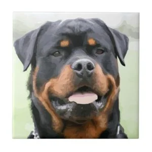 rottweiler tile