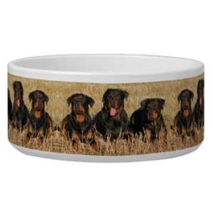 Rottweilers Bowl