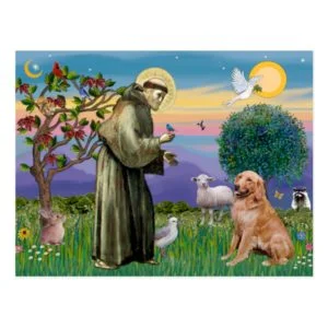 Saint Francis - Golden Retriever (#1) Postcard