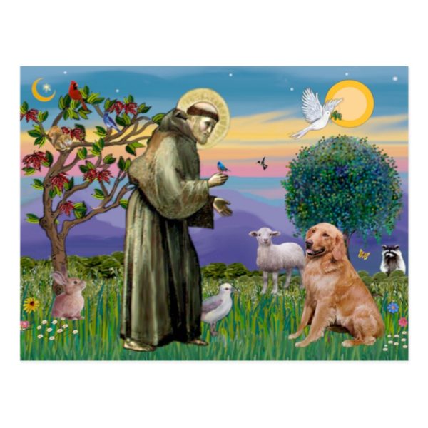 Saint Francis - Golden Retriever (#1) Postcard