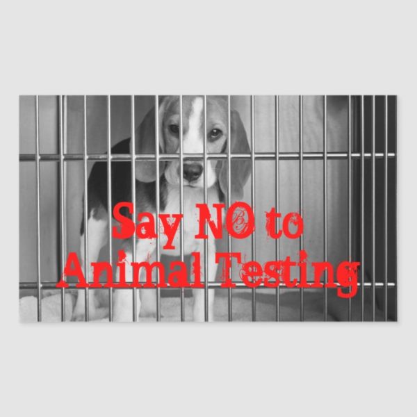 "Say No to Animal Testing" Beagle sticker