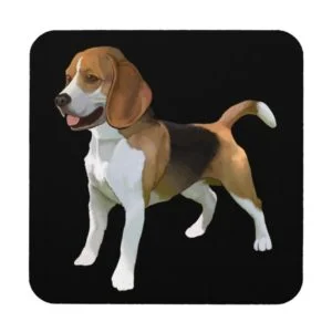 Set of 6 Beagle Coasters