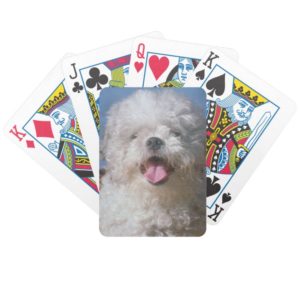 Shaggy Poodle Dog Playing Cards
