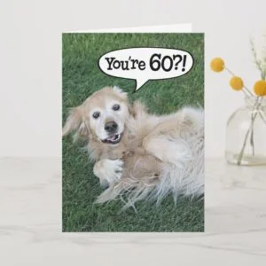 Shocked Golden Retriever 60th Birthday Card