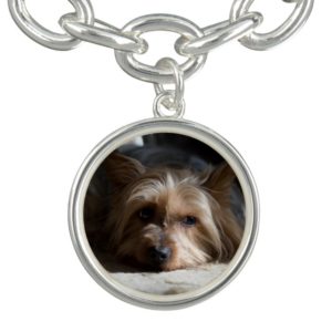 Silky / yorkshire terrier charms and bracelet