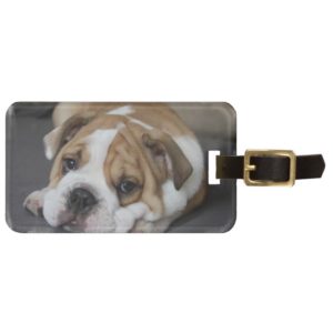 Sleeping Bulldog Luggage Tag