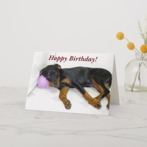 Sleepy Heidi and Ball Birthday Card
