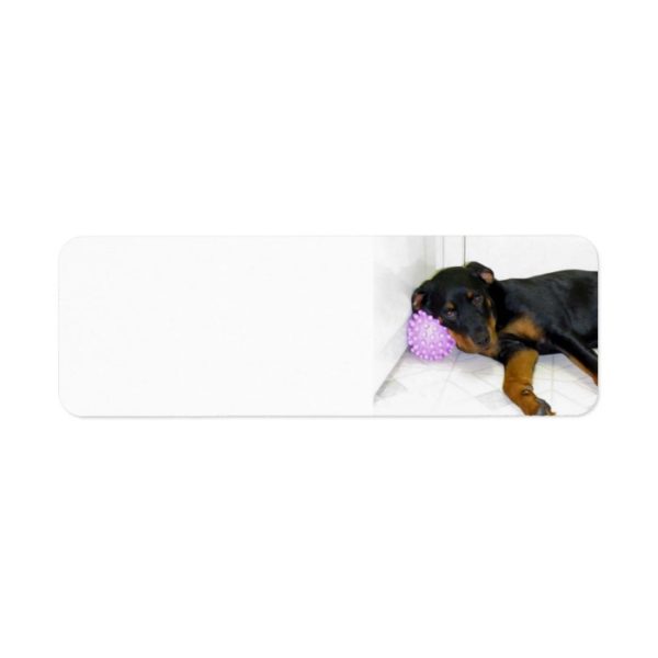Sleepy Rottweiler Return Address Labels