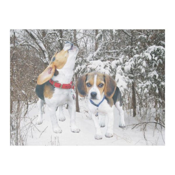 Snow Beagle Pups Fleece Blanket