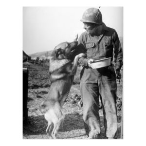 Soldier and His German Shepherd WWII Postcard
