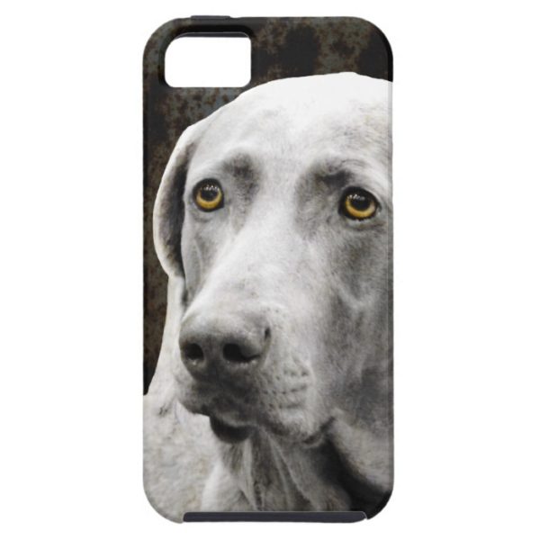 Soulful Eyes of the Weimaraner Case-Mate iPhone Case