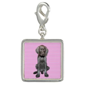 square    grizzly pink stripes.jpg charm