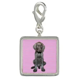 square    grizzly pink stripes.jpg charm