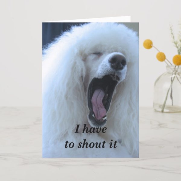 Standard Poodle Happy Birthday Card