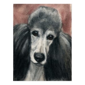 Standard Poodle Original Dog Art Postcard