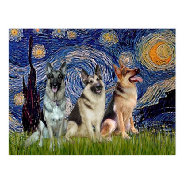 Starry Night - 3 German Shepherds Postcard