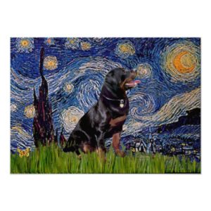 Starry Night - Rottweiler (#6) Poster
