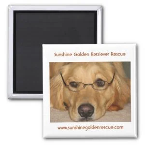 Sunny Magnet - Sunshine Golden Retriever Rescue...
