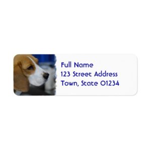 Sweet Beagle Label