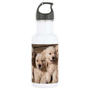 Sweet Golden Retriever Puppies Water Bottle
