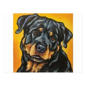 Sweet Rottweiler Postcard