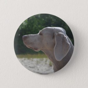 Sweet Weimaraner Dog Profile Button