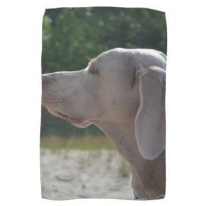 Sweet Weimaraner Dog Profile Kitchen Towel