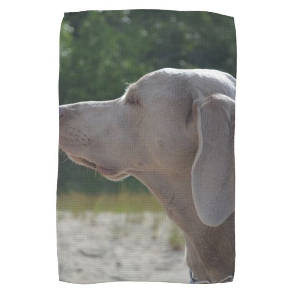 Sweet Weimaraner Dog Profile Kitchen Towel