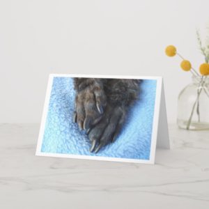Sympathy For Loss Of Pet Poodle Paws Card