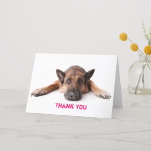 Thank You Card German Shepherd Dog