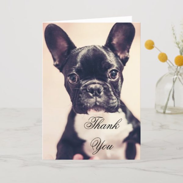 Thank You French Bulldog dog greeting card