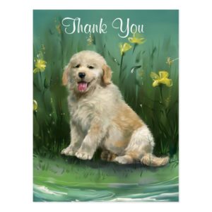 Thank You Golden Retriever Puppy Postcard