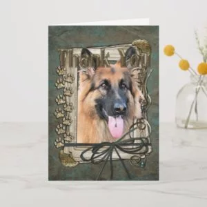 Thank You - Stone Paws - German Shepherd - Chance