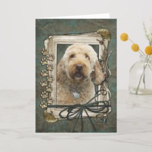 Thank You - Stone Paws - GoldenDoodle