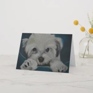 The Havanese Card