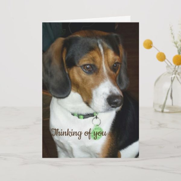 Thinking of You Beagle Card