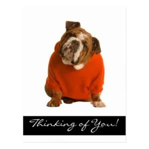Thinking of You English Bulldog Puppy Dog Postcard