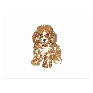 TOY POODLE POSTCARD
