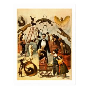 Trained Dog Act 1899 Vintage Circus Act Poster Postcard