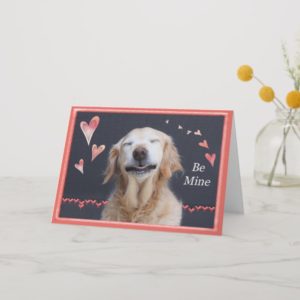 Valentine Golden Retriever Holiday Card