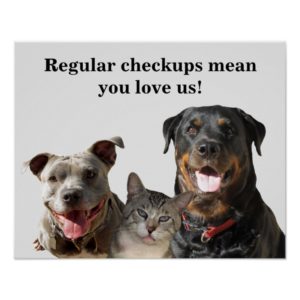 Veterinary Love Your Pets Checkup Poster
