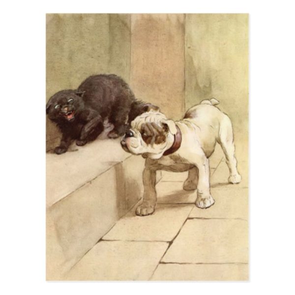 Vintage Bulldog Puppy Illustration Postcard