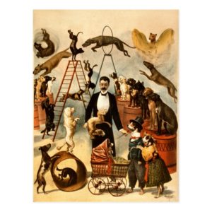 Vintage Trained Circus Dog Act Trick Dogs1899 Postcard
