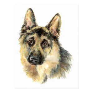 Watercolor German Shepherd Pet Dog Animal Postcard