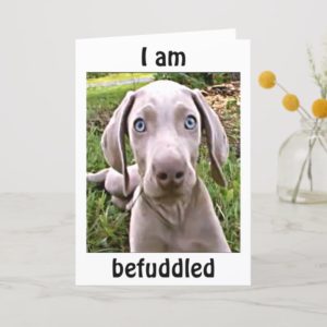 WEIMARANAR IS BEFUDDLED YOU ARE "40"/FABULOUS CARD