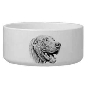 Weimaraner dog bowl