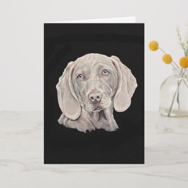 Weimaraner dog on black. card