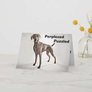WEIMARANER IS PERPLEXED/PUZZLED U R 40! CARD