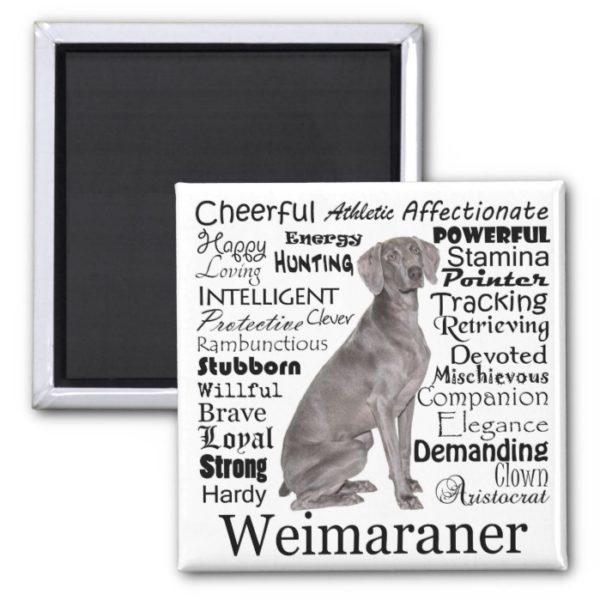 Weimaraner Magnet