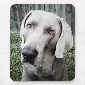 Weimaraner Mouse Pad